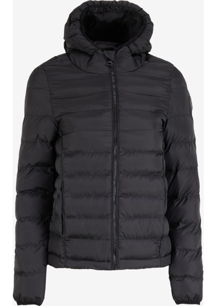 Siyah Kadın Mont 251 Lcf 232001 Iconıc Siyah