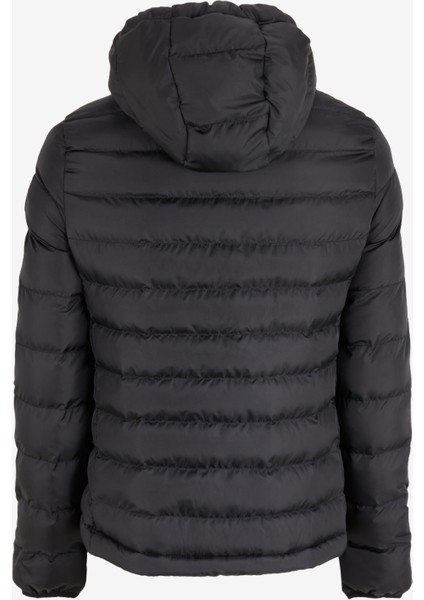 Siyah Kadın Mont 251 Lcf 232001 Iconıc Siyah