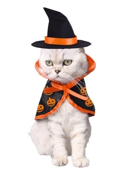 Cadılar Bayramı Kedi ve Köpek Evcil Hayvan Kostümü Sihirli Pelerin (Yurt Dışından)