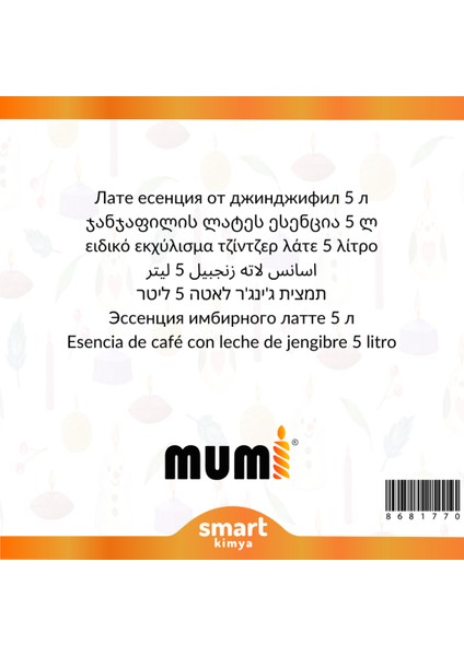 Zencefilli Latte Mum Esansı 5 Litre fiyatları