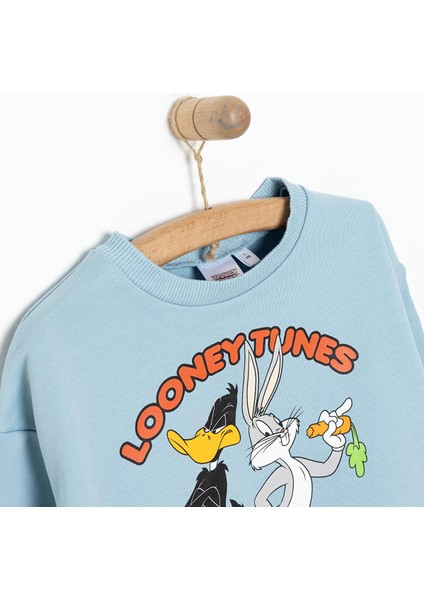 Erkek Sweatshirt Erkek Bebek