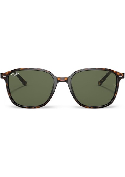 RB-2193 902/31 53 Güneş Gözlüğü fiyatları