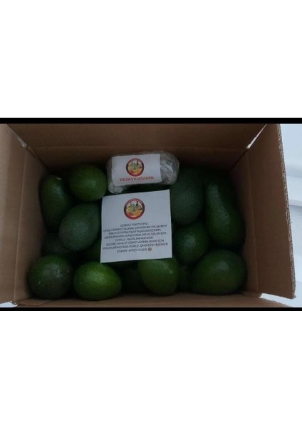 Bebek Avokado 500 gr modelleri