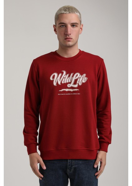 Bisiklet Yaka Ekru Slim Fit Sweatshirt 24FWM60195