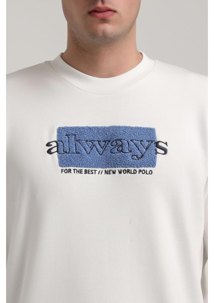 Bisiklet Yaka Lacivert Slim Fit Sweatshirt 24FWM60201 modelleri