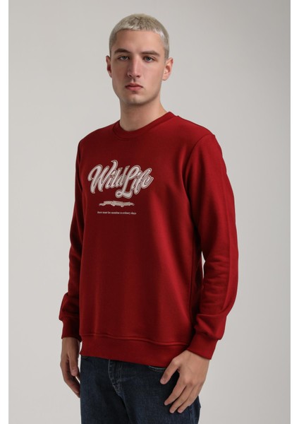 Bisiklet Yaka Ekru Slim Fit Sweatshirt 24FWM60195 modelleri