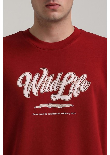 Bisiklet Yaka Ekru Slim Fit Sweatshirt 24FWM60195 indirimleri