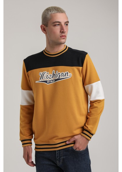 Bisiklet Yaka Lacivert Slim Fit Sweatshirt 24FWM60192 fiyatları