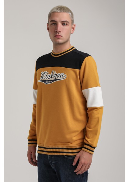 Bisiklet Yaka Lacivert Slim Fit Sweatshirt 24FWM60192 modelleri