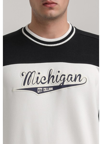 Bisiklet Yaka Lacivert Slim Fit Sweatshirt 24FWM60192 modelleri