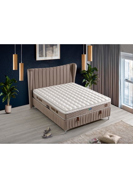 Airfresh Set Baza+Yatak+Başlık Tek Kişilik 90X200CM