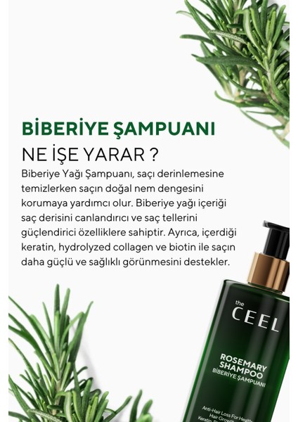 The Ceel Biberiye Şampuanı ve Biberiye Yağı Saç Bakım Seti