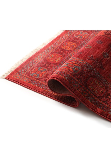 Makine Halısı Agnello Halı 7/24 0262BRD modelleri