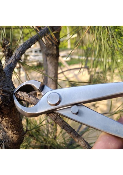 Bahçecilik Topu Makas, Paslanmaz Çelik Bilyalı Makas Bonsai Alet Topuzu Topu Makas Peyzaj Modelleme Bahçe (Yurt Dışından) indirimleri