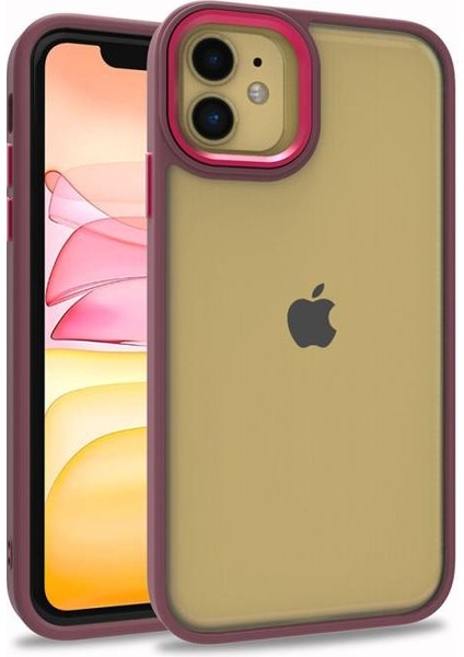iPhone 11 Kılıf Arkası Şeffaf Kenarları Renkli Bergen Kapak