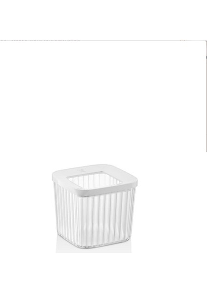 Kare Çizgili Saklama Kabı 4 Lü Set - 114 fiyatları