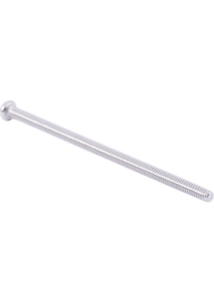 120 x Gümüş Ton M2 x 40MM 304 Paslanmaz Çelik Yuvarlak Başlı Vida Cıvatası (Yurt Dışından)