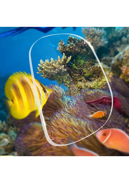 Dalış Şnorkel Maskesi Scuba Dişli Maskeleri Tüplü Dalış, Şnorkel, Serbest Dalış, Zıpkınla Balıkçılık ve Yüzme Için Gözlükler (Yurt Dışından)