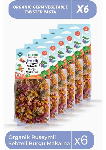 Organik Ruşeymli Sebzeli Burgu Makarna 250 GR6PAKET Organic Wheat Vegetable Twisted Pasta 250GR6PACK