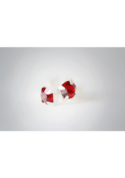 Lal Doğal Taş 925 Ayar Mini Gümüş Küpe