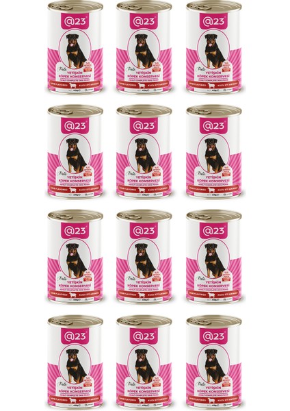 @23 Yetişkin Köpek Konservesi Kuzu Eti Aromalı 415 G x 12 Adet modelleri