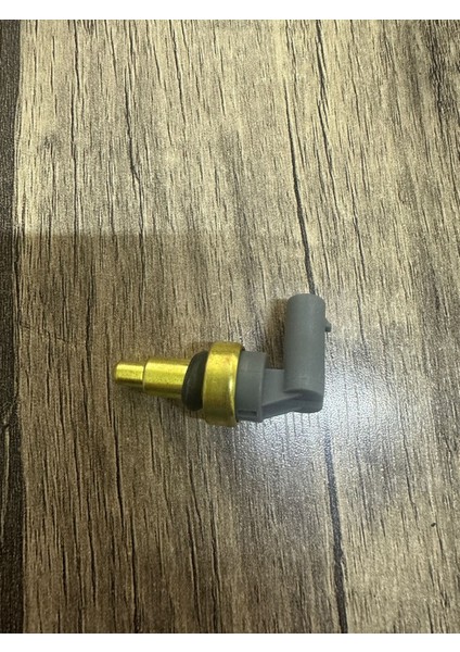 Mg Hs Müşür Fan 1.5 2022-2024