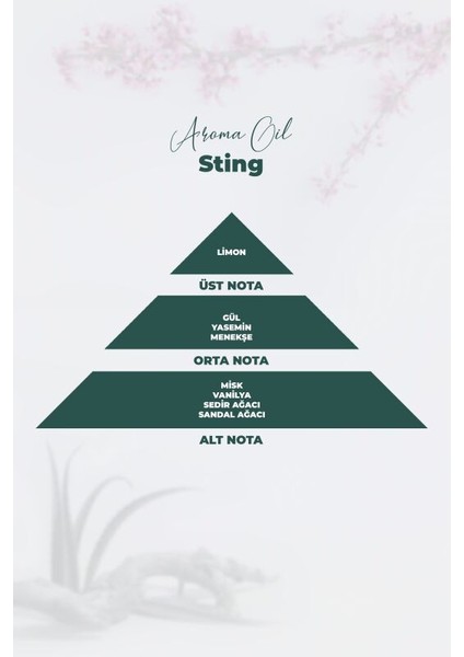 Aroma Oil Sting Parfüm 100 ml