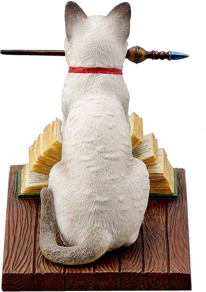 Sihirbaz Kedi Biblo / Hocus Pocus By Lisa Parker