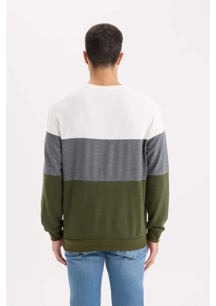Regular Fit Bisiklet Yaka Renk Bloklu Jakarlı Sweatshirt D5393AX24AU