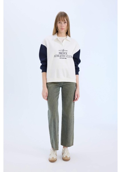 Oversize Geniş Kalıp Polo Yaka Baskılı Kalın Sweatshirt E1852AX24WN fiyatları