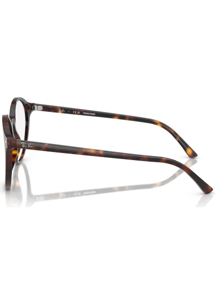 Rb 2230 902/GH 53 Ray-Ban Bernard Transıtıons® Fotokromik Unisex Güneş Gözlüğü modelleri