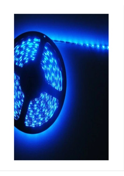 CT-4491 Dış Mekan Silikonlu LED Mavi Renk