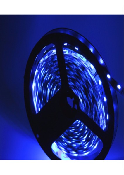 CT-4491 Dış Mekan Silikonlu LED Mavi Renk modelleri