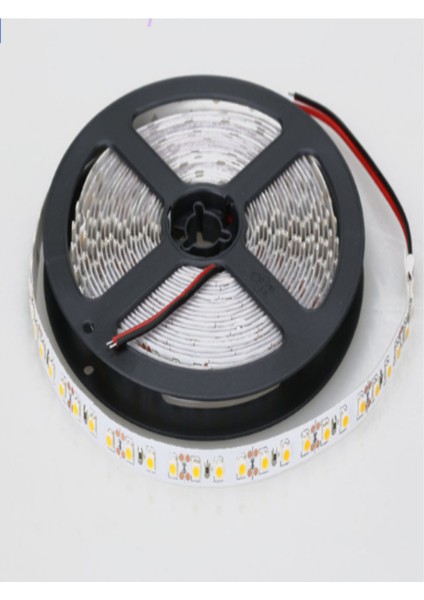 CT-4491 Dış Mekan Silikonlu LED Mavi Renk fırsatları