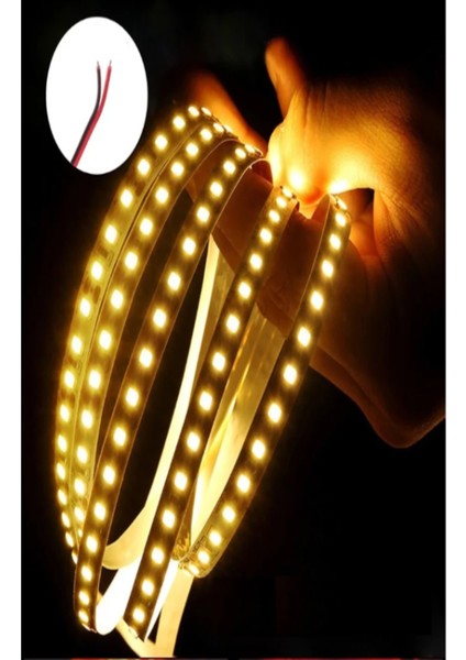 CT-4537 Gold Şerit LED Günışığı Renk