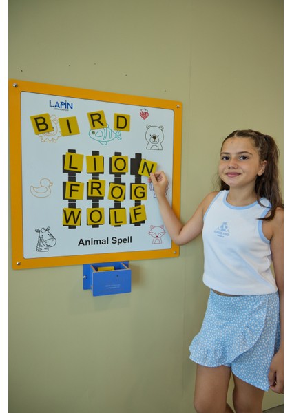 Animal Spell – Dekoratif Duvar Oyunu, Ofis/okul Ortak Alanlar Için Oyunlar fırsatları