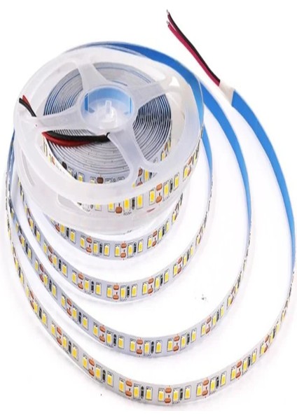 CT-4535 Gold Şerit LED Beyaz Işık
