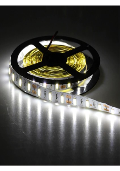 CT-4535 Gold Şerit LED Beyaz Işık fırsatları