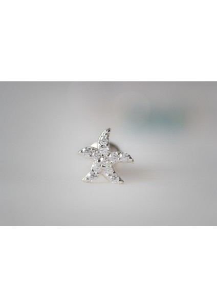 Deniz Yıldızı 925 Ayar Gümüş Küpe