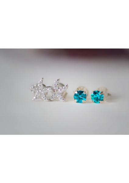 Deniz Yıldızı 925 Ayar Gümüş Küpe fiyatları