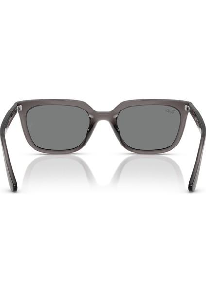 Rb 4439D 667587 54 Ray-Ban Unisex Güneş Gözlüğü