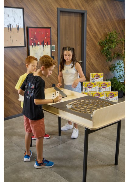 Badminton – Masa Oyunu, Ofis/okul Ortak Alanlar Için Oyunlar fiyatları