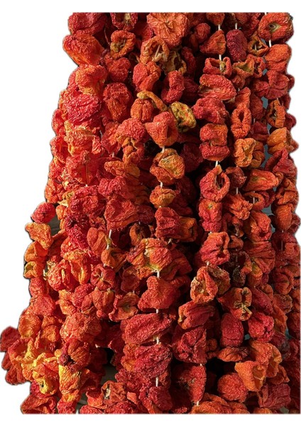 Dolmalıktatlı Biber Kurusu 47-50 Adet fiyatları