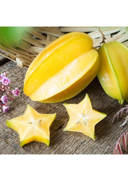 Aşılı Tüplü Yıldız Meyvesi Fidanı Carambola, 60-80 Cm,