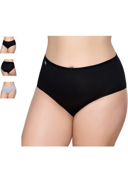 Gümüş Kadın Likralı Bato 3042/3043 3'lü Paket fiyatları