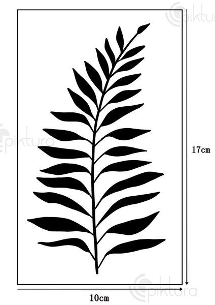 Kır Çiçeği, Floral, Botanik, Yaprak Minimalist Stencil Şablon 3lü Seri No.2