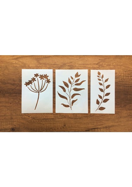 Kır Çiçeği, Floral, Botanik, Yaprak Minimalist Stencil Şablon 3lü Seri No.6