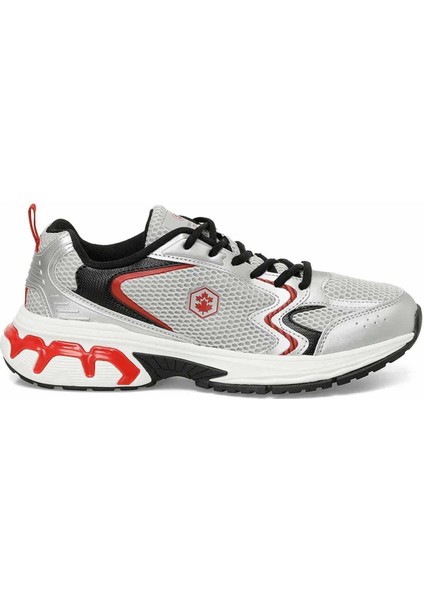 Erkek Spor Ayakkabı Chuck Erkek Sneaker Ayakkabı 101875945GRI