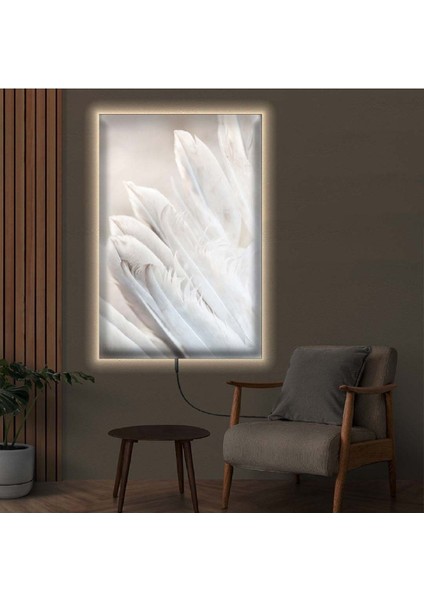 Ledli 70x100 Beyaz Kuş Tüyü Kanvas Tablo