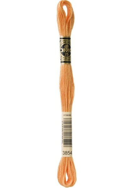 Muline Iplik 3854